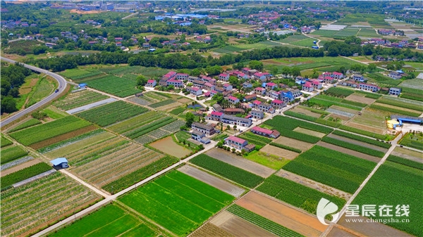 (浏阳市沿溪镇万亩蔬菜示范片沙龙核心区)